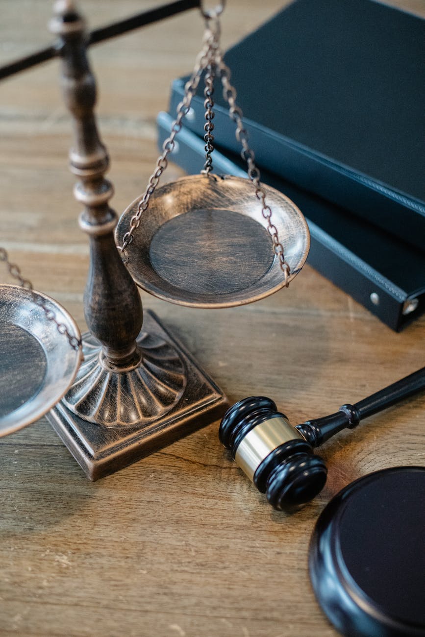 Tribunale di Terni, scontro in Consiglio: il Pd accusa la giunta Bandecchi