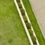 Terni, il Comune richiama i proprietari: “Curare il verde per la sicurezza stradale”