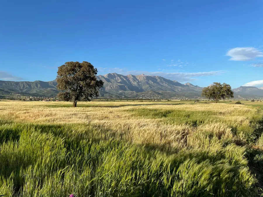 Quali sono le città più belle di Terni da visitare: guida ai centri più affascinanti del territorio ternano