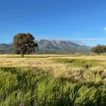 Quali sono le città più belle di Terni da visitare: guida ai centri più affascinanti del territorio ternano