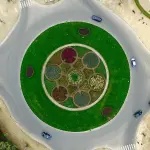 Terni, attivo un nuovo sistema anti-collisione per la sicurezza stradale